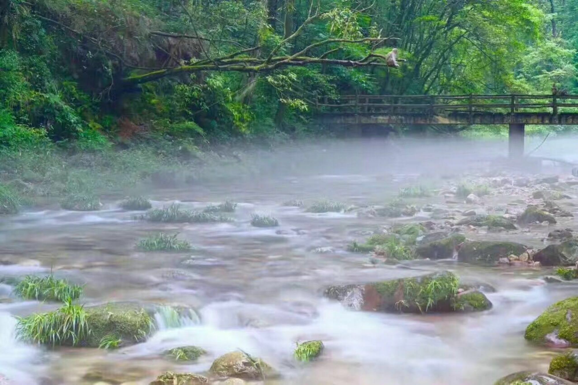 Zhangjiajie Yueranju Hostel Exteriér fotografie